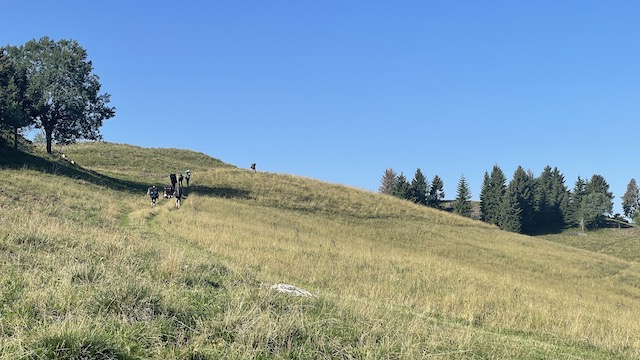 Sicherheitstraining Idrosee